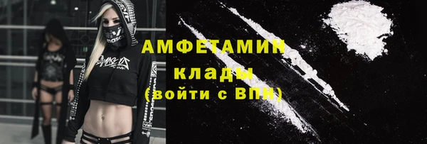 spice Богородицк