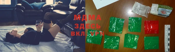 spice Богородицк