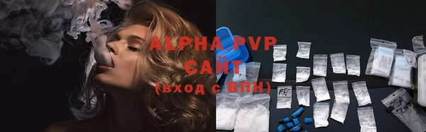 spice Богородицк