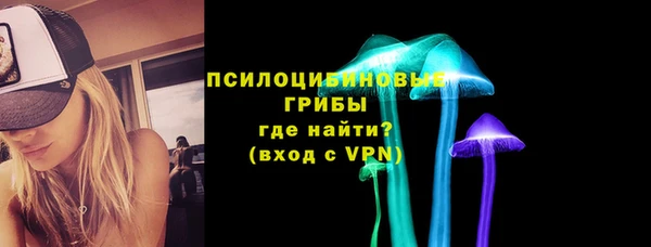 таблы Бородино