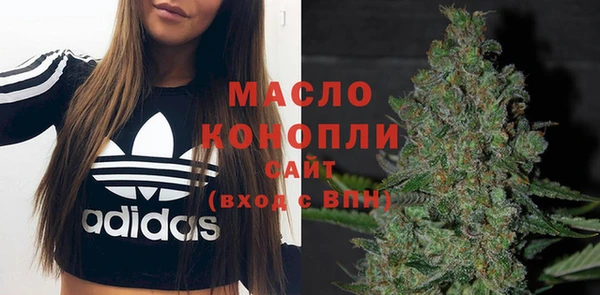 таблы Бородино