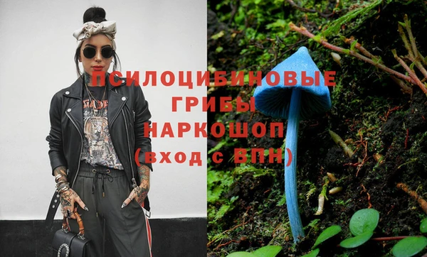герыч Бронницы